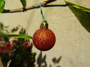 Close-up of christmas bauble hanging on tree branch