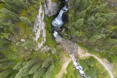 High angle view of waterfall in forest