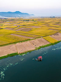 High angle view of agricultural field