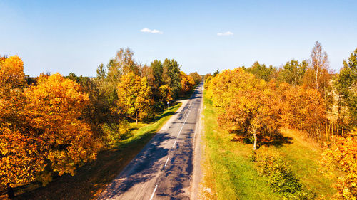 Road amidst trees during autumn against sky