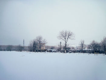 Bare trees on snow covered landscape