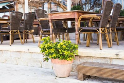 Potted plants on table at sidewalk cafe