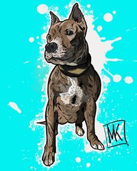 dog