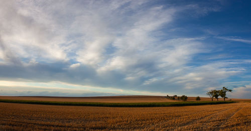 Scenic view of agricultural field against sky