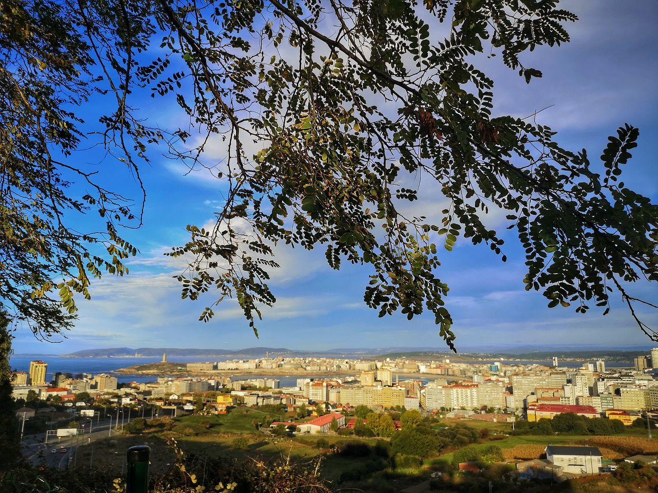 TREES AND TOWNSCAPE AGAINST SKY