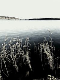 Scenic view of silhouette water against clear sky