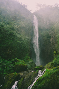 Scenic view of waterfall