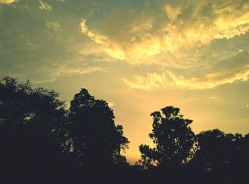 Low angle view of silhouette trees against sky during sunset