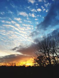 Silhouette of trees on landscape at sunset