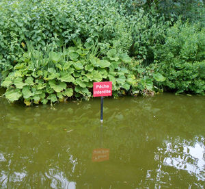 Information sign by plants on lake