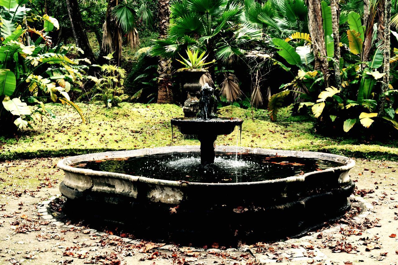 CLOSE-UP OF FOUNTAIN ON POTTED PLANT