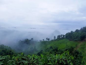 Scenic view of landscape against sky