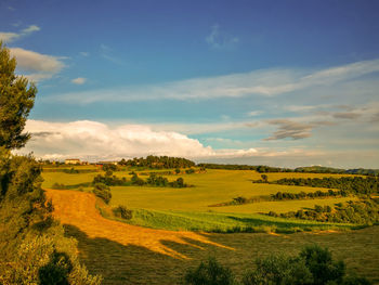 Scenic view of landscape against sky