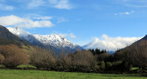 Scenic view of bare trees and mountains against sky