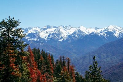 Scenic view of snowcapped mountains