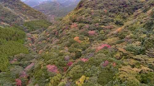 Scenic view of tree mountains against sky