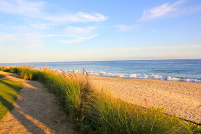 Scenic view of beach