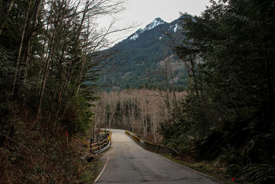 Road amidst trees against sky