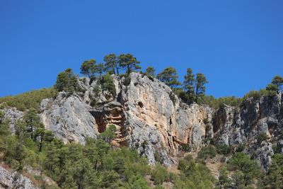 Low angle view of trees on mountain against blue sky