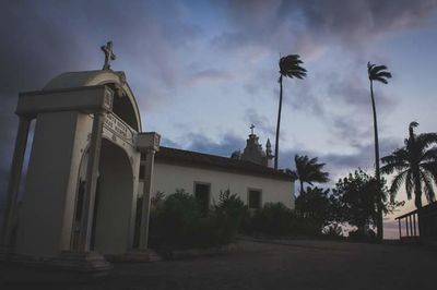 Low angle view of palm trees against sky