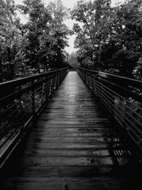 Footbridge in forest