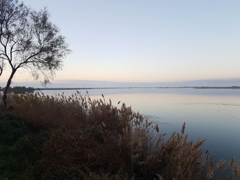 Scenic view of lake against clear sky