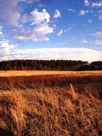 tranquility