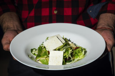 Midsection of man holding tofu salad in plate