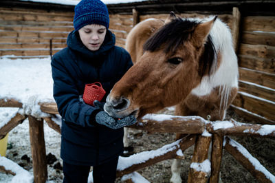 Close-up of horse standing on snow