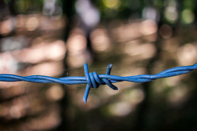 Close-up of barbed wire on fence