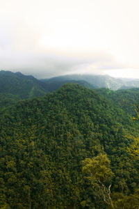 High angle view of trees on landscape against sky