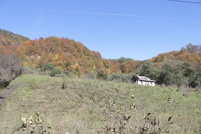 Scenic view of trees and plants on field against sky