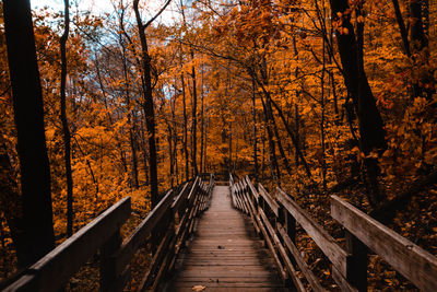 Wooden footbridge amidst trees in forest during autumn