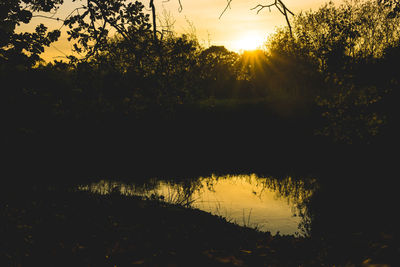 Silhouette trees by lake against sky during sunset