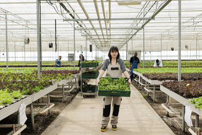 Rear view of woman standing in greenhouse