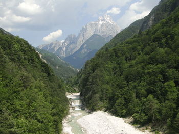 River amidst trees in forest against sky