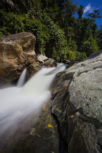 Stream flowing through rocks in forest