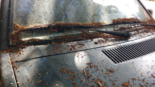 High angle view of dried leaves on old car