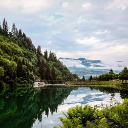 Scenic view of lake by trees against sky