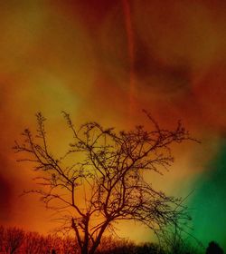 Low angle view of silhouette bare tree against rainbow in sky