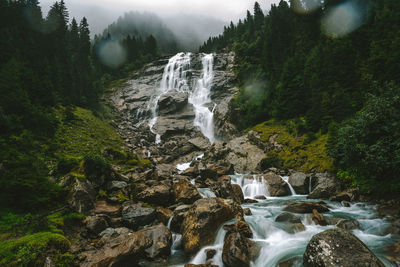 Scenic view of waterfall in forest