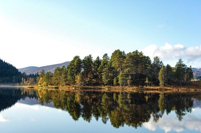 Reflection of trees in lake against sky