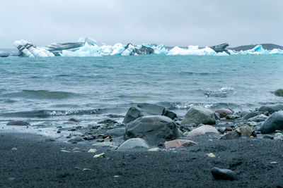 Floating ice in the glacier laggon of jokulsarlon with black sand and pebbles in the foreground. 