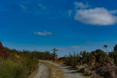 Dirt road amidst plants against sky