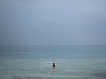 Rear view of woman standing in sea against clear sky