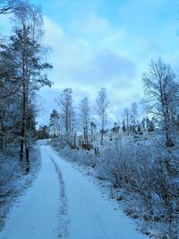 Snow covered road by trees against sky