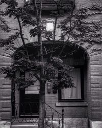 Closed door of house