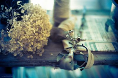 Dried flowers on wooden shelf