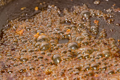 High angle view of bubbles in shallow water