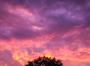 Low angle view of silhouette trees against sky at sunset